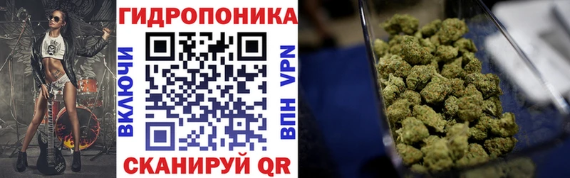  COCAIN Чегем