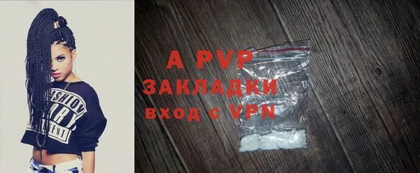 стаф Абинск